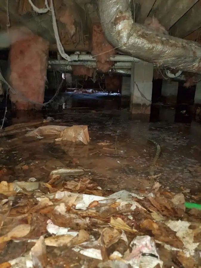 Crawl space flood assessment for Leak Detection & Repair in Douglas