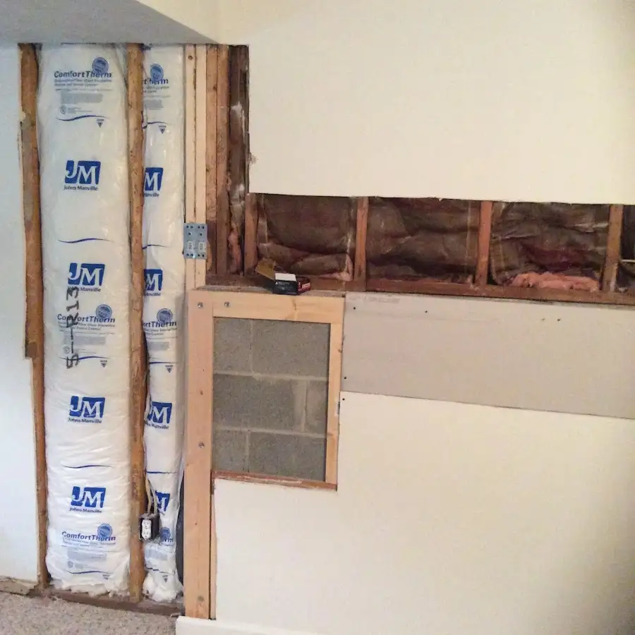 Wall insulation replacement during Odor Removal & Deodorization in Douglas
